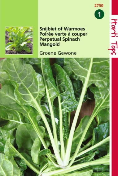 Swiss Chard green (Beta vulgaris) 400 seeds HT